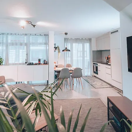 - Culture & Nightlife In One *